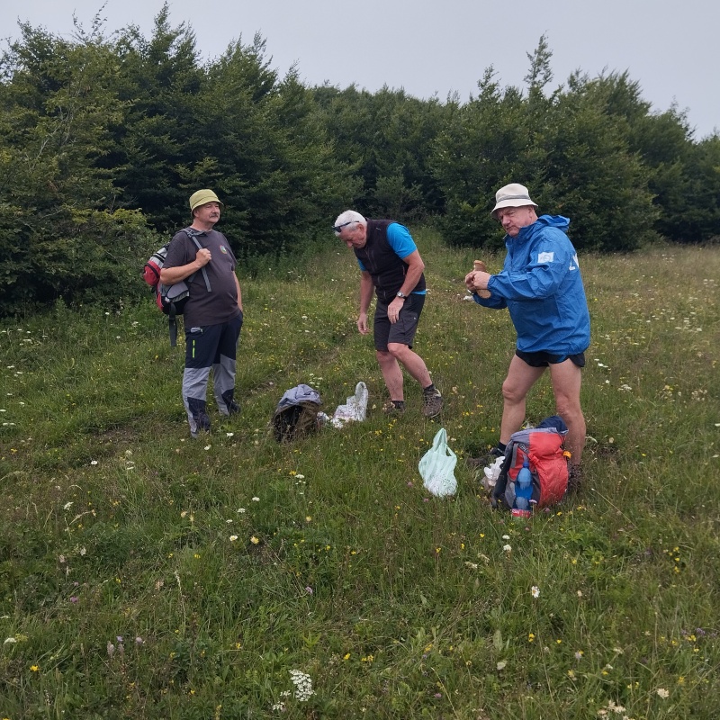 202607434